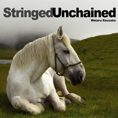 アルバム/Stringed Unchained/Wataru Kousaka