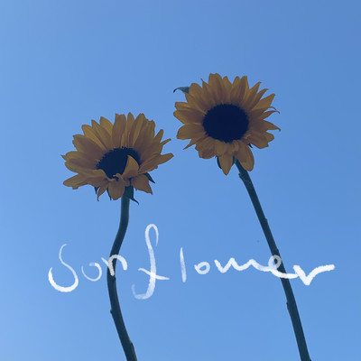 シングル/Sun Flower(2023)/LAS