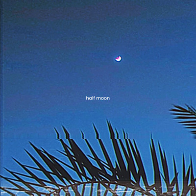 シングル/half moon/平井 大