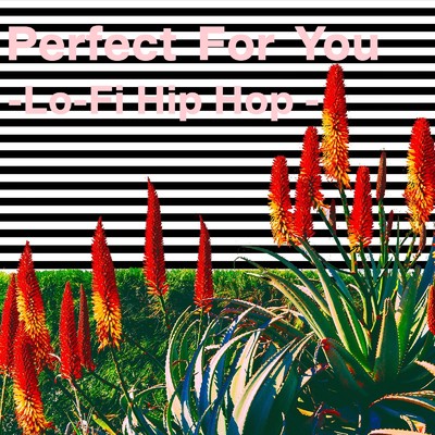 Perfect For You-Lo -Fi Hip Hop -/Lo-Fi Chill