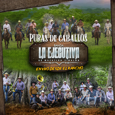 シングル/Puras De Caballos En Vivo Desde El Rancho/Banda La Ejecutiva De Mazatlan Sinaloa