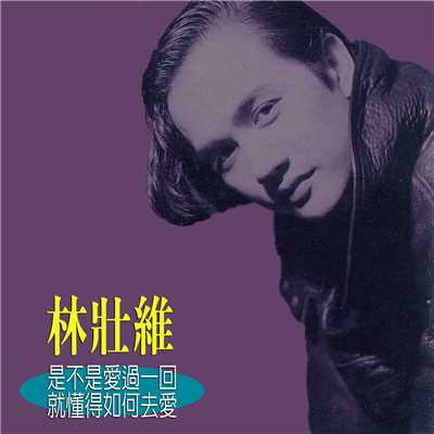 Cong Jin Yi Hou (featuring May Lan)/Zhuang Wei Lin