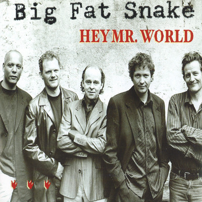 シングル/Hey Mr. World/Big Fat Snake