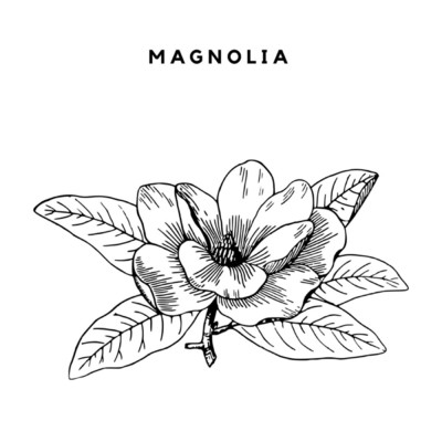 Magnolia (feat. Aubrie Sedona)/Lil Espionage