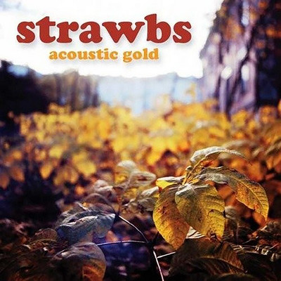 アルバム/Acoustic Gold/Strawbs