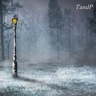 舞う霜に差す朗らかな光/TandP