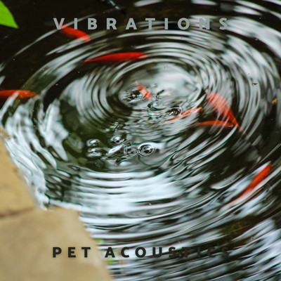 Vibrations/Pet Acoustics