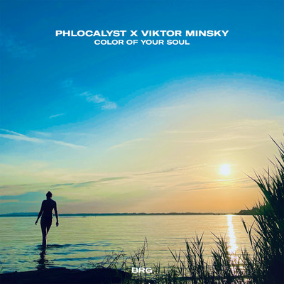 Color Of Your Soul/Phlocalyst, Viktor Minsky & BRG Beats