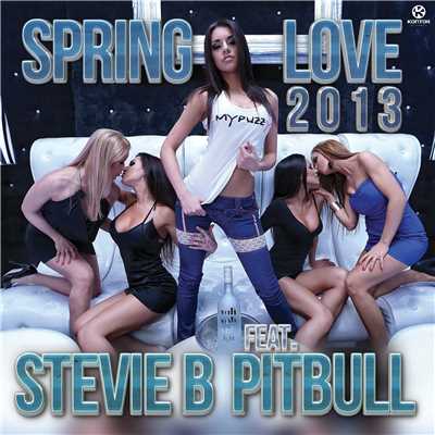 Spring Love 2013 (Marc van Damme & Nick Otronic Remix Edit) [feat. Pitbull]/Stevie B