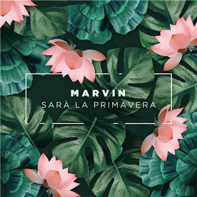 Sara La Primavera/Marvin／Marvin