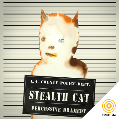 Stealth Cat/iSeeMusic