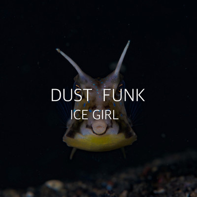 ICE GIRL/Dust funk