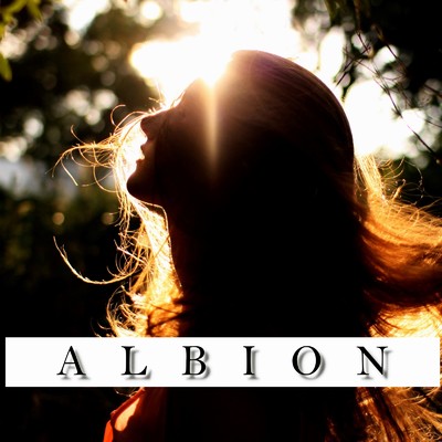 シングル/ALBION (feat. VY1V4)/Visual metal ユウ