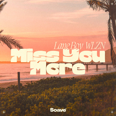 Miss You More/Lane Boy & WLZN