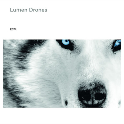 シングル/Dark Sea/Lumen Drones