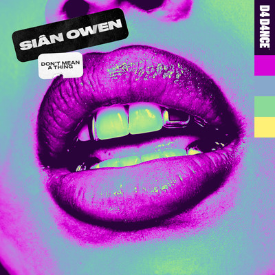 Don't Mean A Thing/Sian Owen