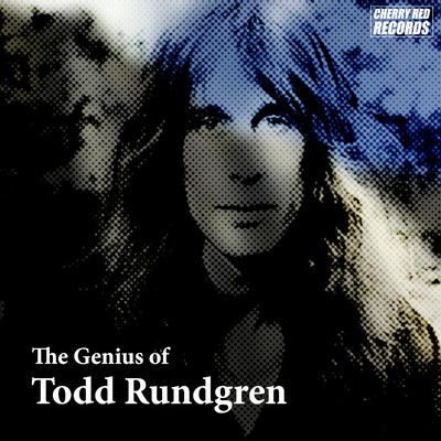 アルバム/The Genius of Todd Rundgren/Todd Rundgren