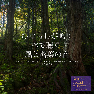 ひぐらしが鳴く林で聴く 風と落葉の音 〜Nature Sound Museum by Fuyuki  Kohyama〜/RELAXING BGM STATION