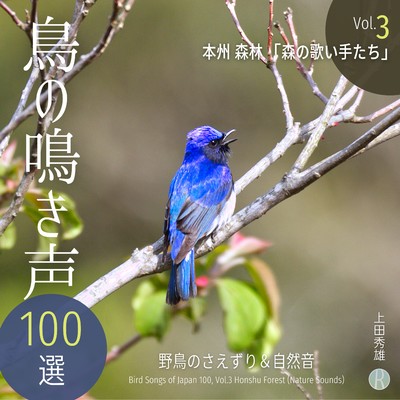 アルバム/鳥の鳴き声 100選 Vol.3 本州 森林 「森の歌い手たち」 野鳥のさえずり&自然音/上田秀雄