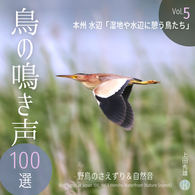 鳥の鳴き声 100選 Vol.5 本州 水辺 「湿地や水辺に憩う鳥たち」 野鳥のさえずり&自然音/上田秀雄