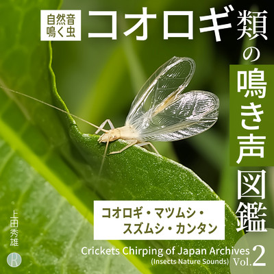 アルバム/コオロギ類の鳴き声図鑑 Vol.2 コオロギ・マツムシ・スズムシ・カンタン  [自然音・鳴く虫]/上田秀雄