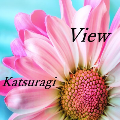 シングル/View/Katsuragi