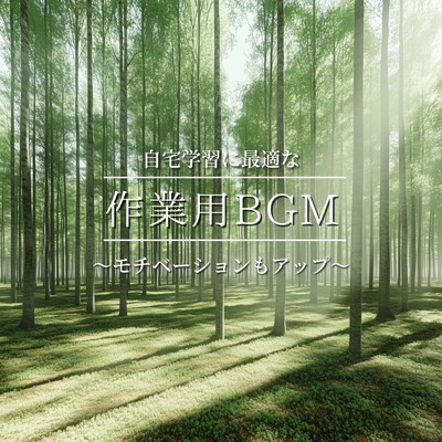 シングル/風が運ぶ思い出/FM STAR & healing music for sleep