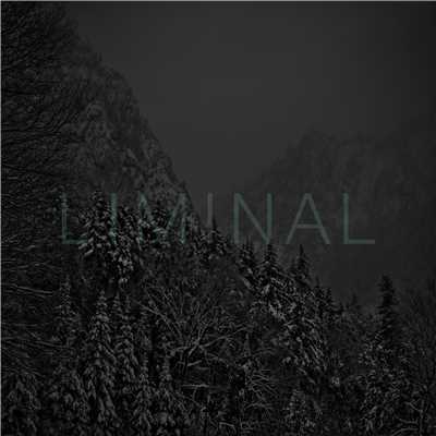 Hvalir i utrymingarhaettu (Liminal Remix)/Sigur Ros