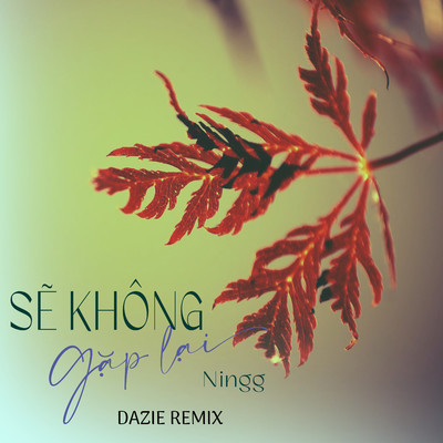シングル/Se Khong Gap Lai (Dazie Remix)/Ningg