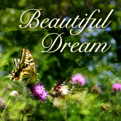 Beautiful Dream/Nijiya