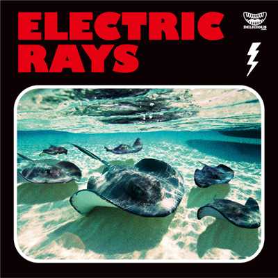 ELECTRIC RAYS/Various Artists