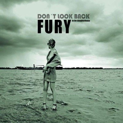アルバム/Don't Look Back/Fury In The Slaughterhouse