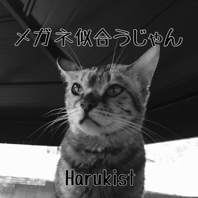メガネ似合うじゃん/Harukist
