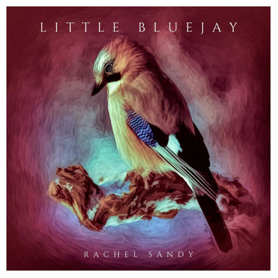 Little Bluejay/Rachel Sandy