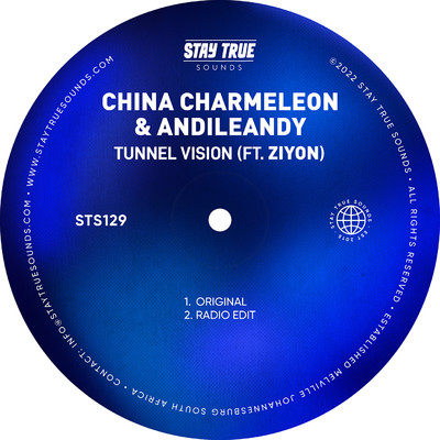 Tunnel Vision (feat. Ziyon)/China Charmeleon and AndileAndy