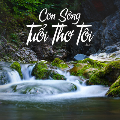 シングル/Con Song Tuoi Tho Toi (Beat)/NS Records