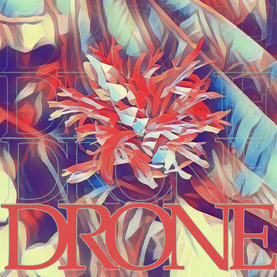 Drone/Death by Denim
