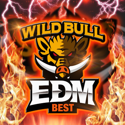 アルバム/Wild Bull EDM BEST/Various Artists
