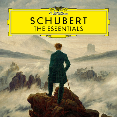 シングル/Schubert: アヴェ・マリア D. 839/ミッシャ・マイスキー／パーヴェル・ギリロフ