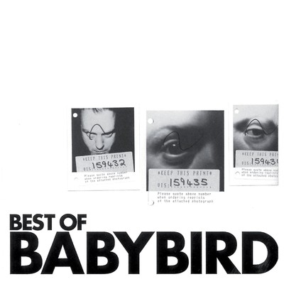 アルバム/Best of Babybird/Babybird