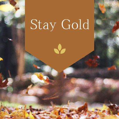 アルバム/Stay Gold/Cafe BGM channel