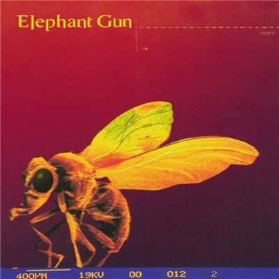 アルバム/Elephant Gun/Elephant Gun