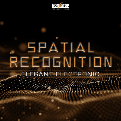 Spatial Recognition/Seth Miles Norman
