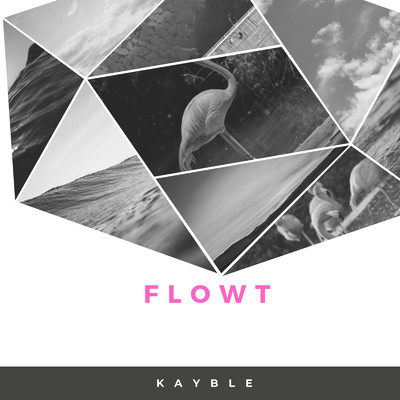 Flowt/KAYBLE