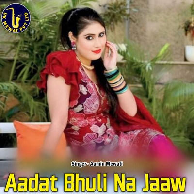 アルバム/Aadat Bhuli Na Jaaw/Aslam Mewati, Asmeena Mewati & Aamin Mewati