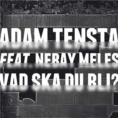 シングル/Vad ska du bli？ (feat. Nebay Meles) [Instrumental]/Adam Tensta