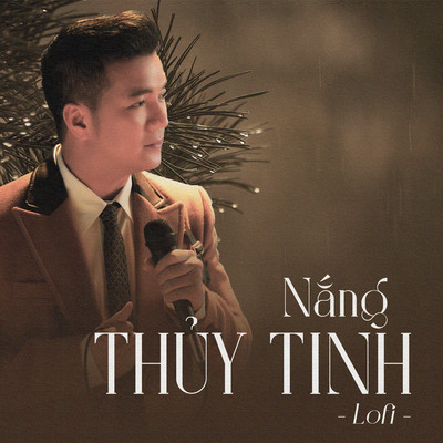 アルバム/Nang Thuy Tinh/Dam Vinh Hung