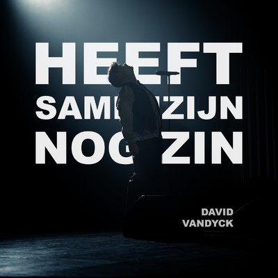 シングル/Heeft Samenzijn Nog Zin/David Vandyck