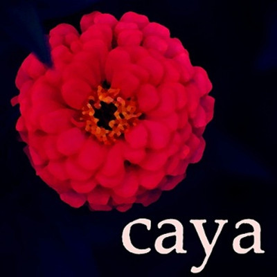 アルバム/ユリイカ/caya