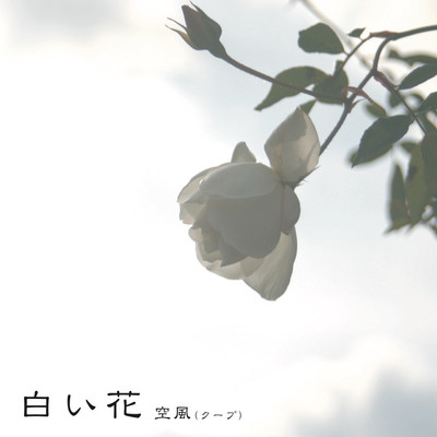 白い花/空風(クープ)
